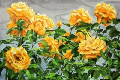 rosas