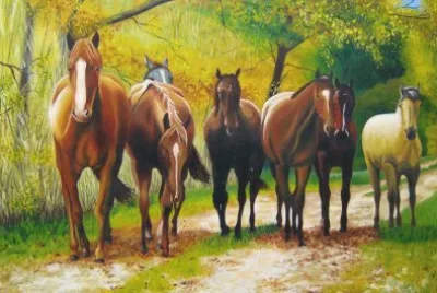 cavalos jigsaw puzzle