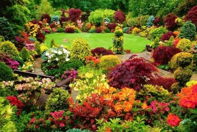 jardim