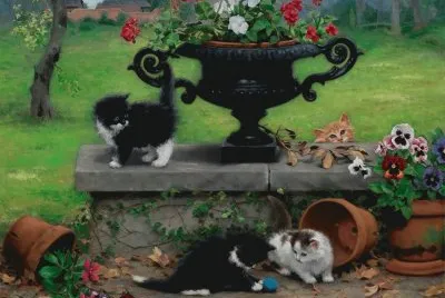 gatinhos