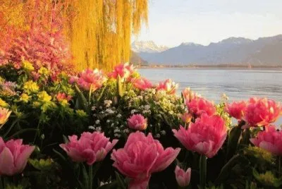 31 jigsaw puzzle