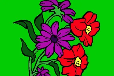 Flores