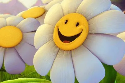 Margaridas jigsaw puzzle
