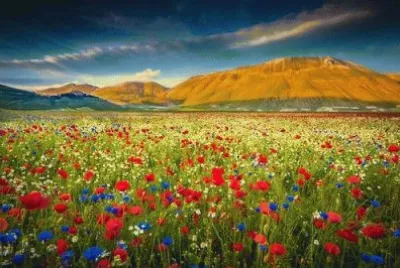 Flores jigsaw puzzle