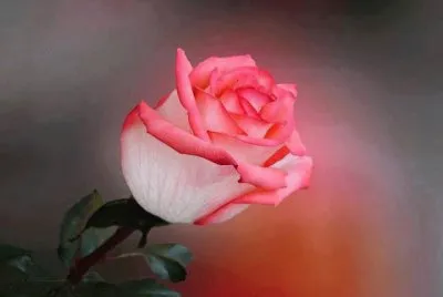 147