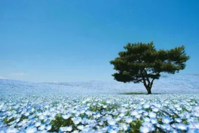 * jigsaw puzzle
