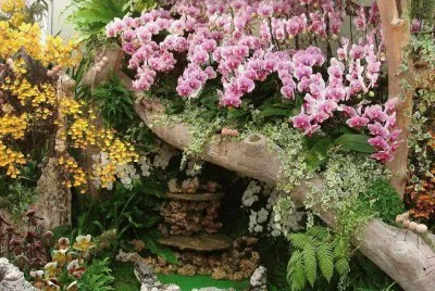 flores