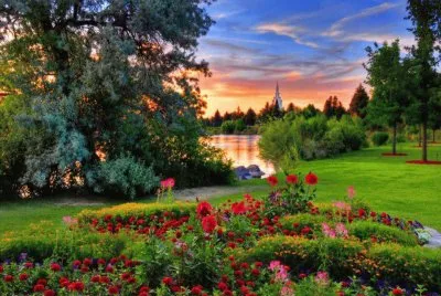 Flores jigsaw puzzle