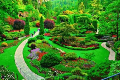 jardim
