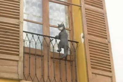 Â¿ es un gato real o no ?