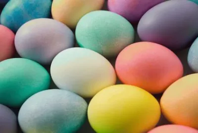 huevos
