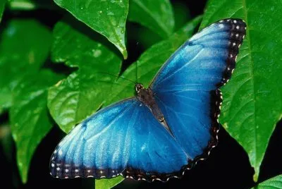 Natureza