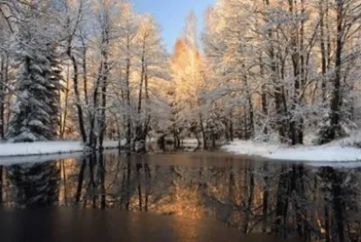 winter-64 jigsaw puzzle