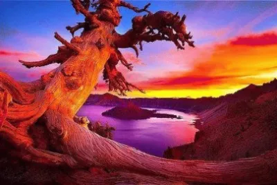 Crater Lake- Oregon jigsaw puzzle