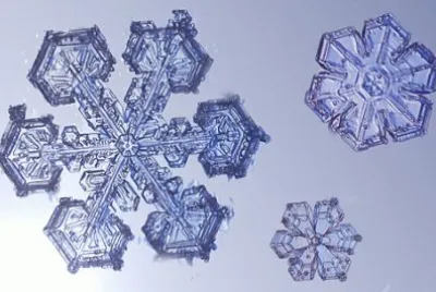 010å¹¾ä½•éœç‰©