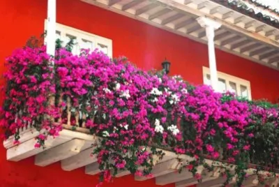 balcones