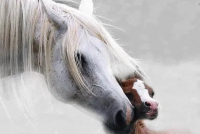 *** jigsaw puzzle