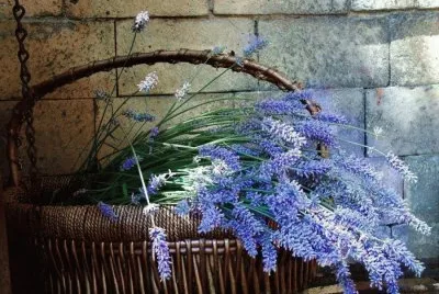 ## jigsaw puzzle
