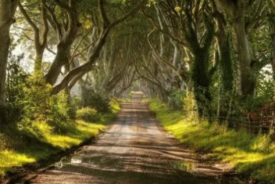 ## jigsaw puzzle