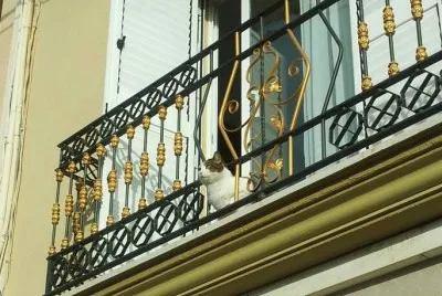 Un hermoso balcÃ³n con un gato