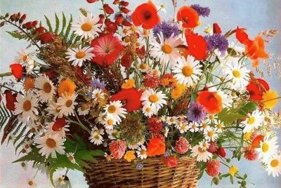 Flores