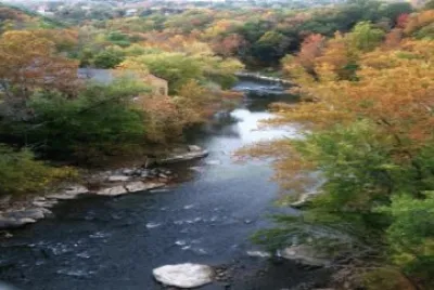 Photo taken from top of bridge