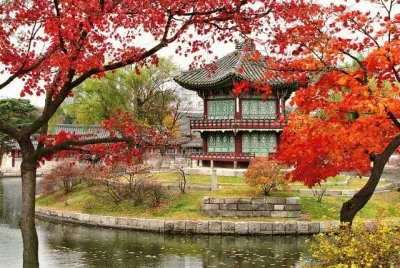 Pagode Gyeong Bokgung Palace South Korea jigsaw puzzle