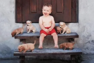 enfant et chiots