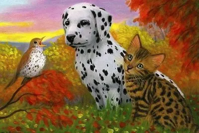 animais jigsaw puzzle