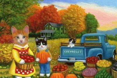 gatos