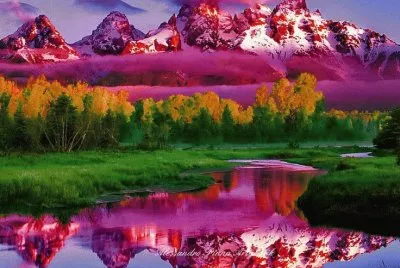 Amazing jigsaw puzzle