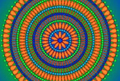 mandala 81