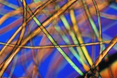 015å¹¾ä½•éœç‰©