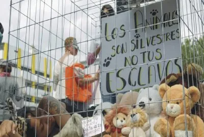 EN LOS CIRCOS SE VALEN LOS DE PELUCHE.