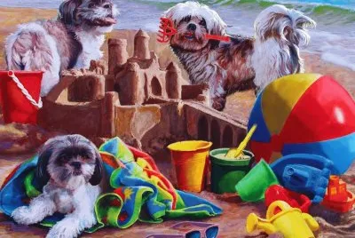cÃ£ezinhos