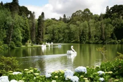 Lago Negro, Gramado