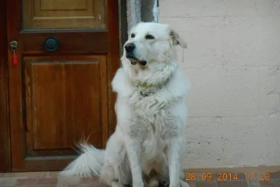 ATHOS