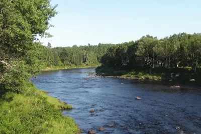 Northwest branch Miramichi River