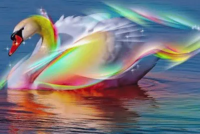 Colorful Swan