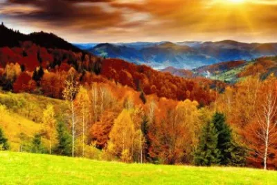 Colored Autumn