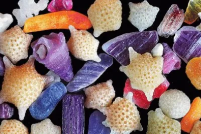 016å¹¾ä½•éœç‰©