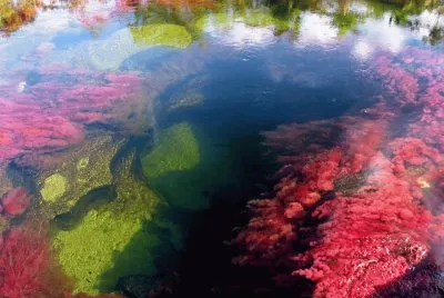 agua  iV