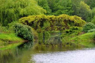 פאזל של jardim