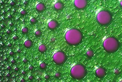 פאזל של 025å¹¾ä½•éœç‰©