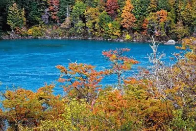 פאזל של calipso