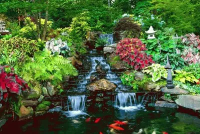 jardim jigsaw puzzle