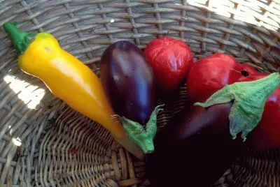 פאזל של verdura