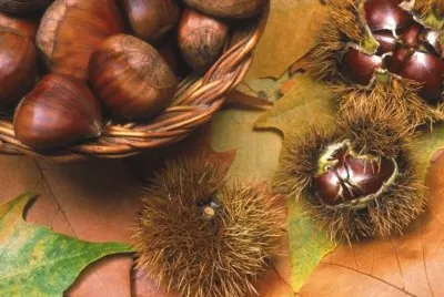 Castanyes jigsaw puzzle