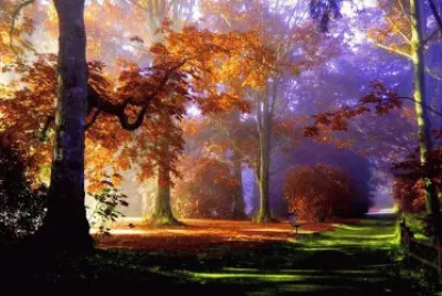 NÂº 284 jigsaw puzzle