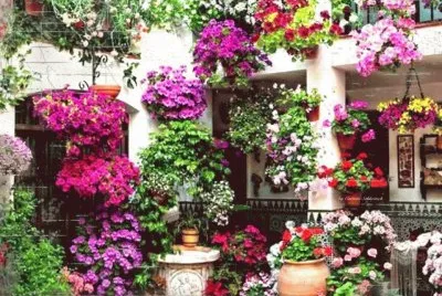 NÂº 285 jigsaw puzzle